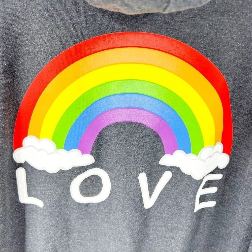✅ Well Worn PRIDE Clothing Sweatshirt LOVE Hoodie Gray w/LOVE graphic SIZE LARGE - Picture 4 of 6